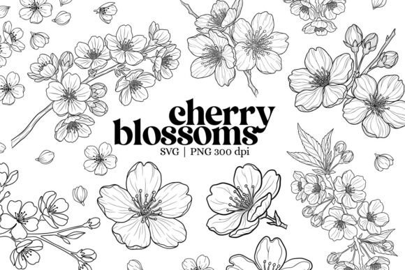 Download Botanical Cherry Blossom Outline Clipart - Premium Bundle