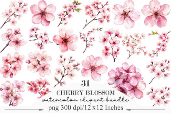 Download Watercolor Cherry Blossom Clipart - Cherry blossom Collection