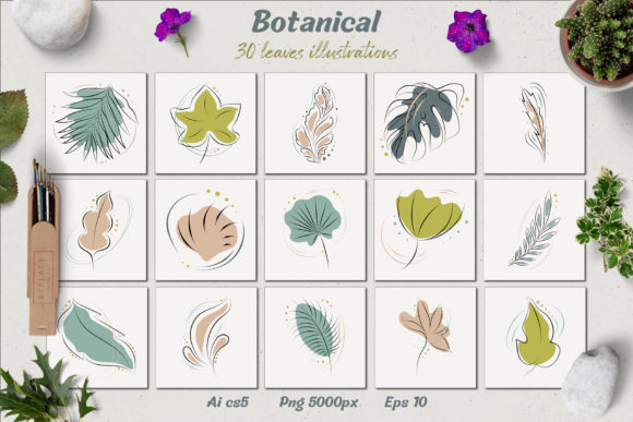 Download Botanical - Leaves Illustrations - Botanical Collection