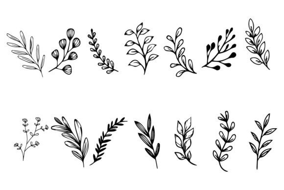 Download Botanical Leaf Wildflower Line Art - Premium Resources