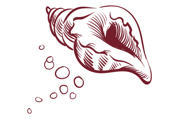 Download Seashell Sketch. Ink Line Style Mollusk - Mollusk Collection