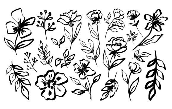 Download Hand Draw Line Flowers and Leaves - Line flowers Collection