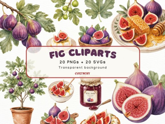 Download Fig Watercolor Cliparts, Botanical PNG - Premium Resources