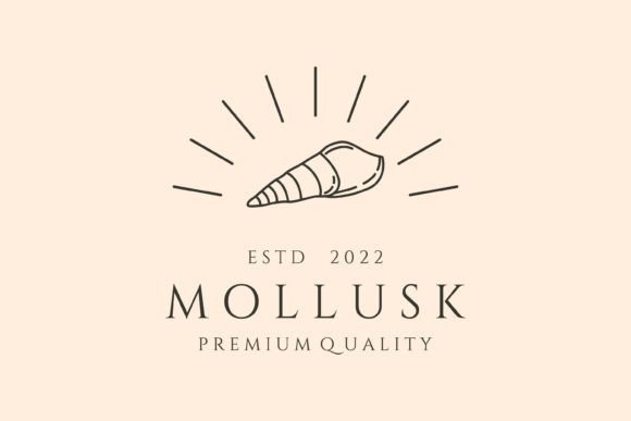 Download Mollusk and Sunburst Line Art Logo - Mollusk Collection
